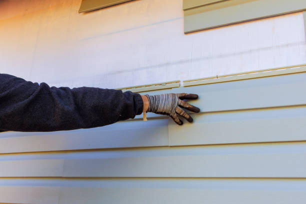 Best Custom Siding Design  in USA